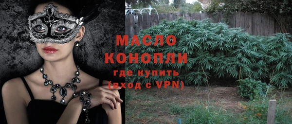 индика Магас