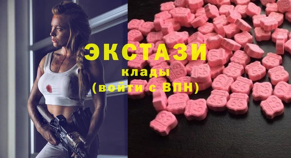 индика Магас