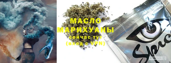 индика Магас