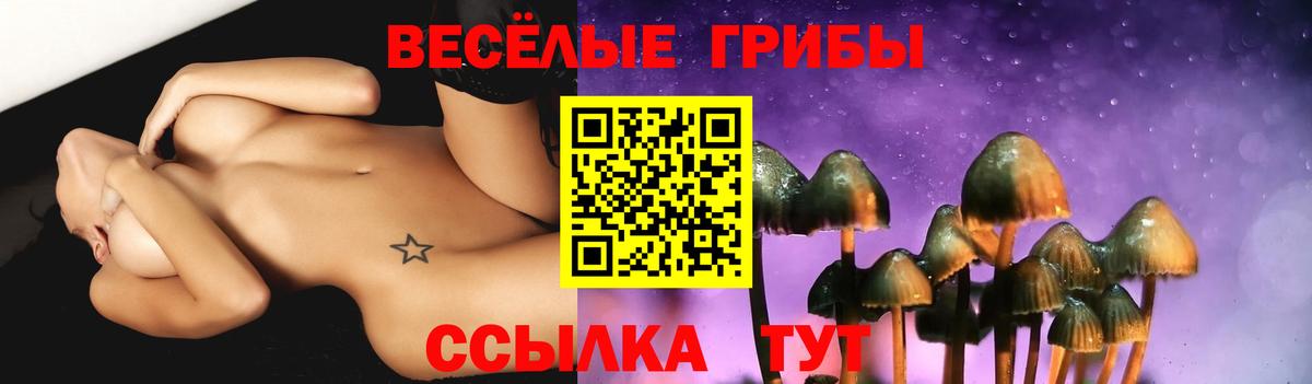 сколько стоит  Бор  Псилоцибиновые грибы Magic Shrooms 